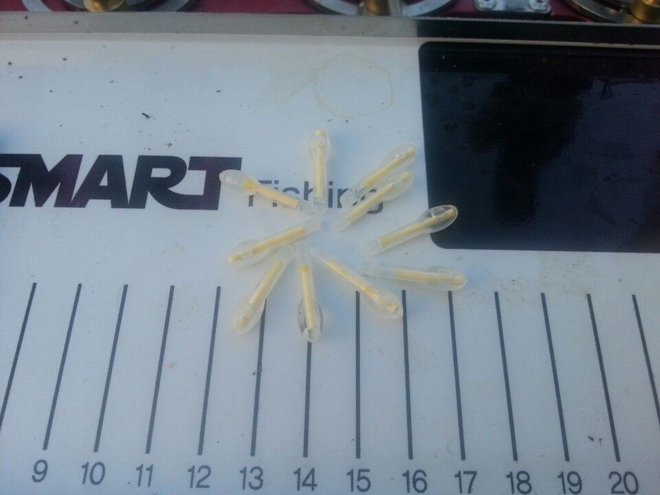 ɹ.jpg