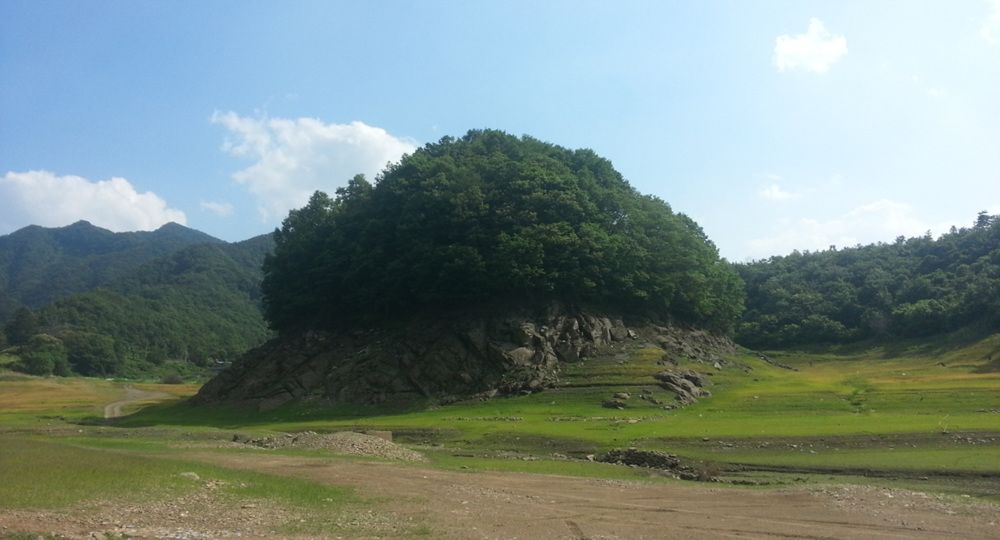 20140614154328913.jpg