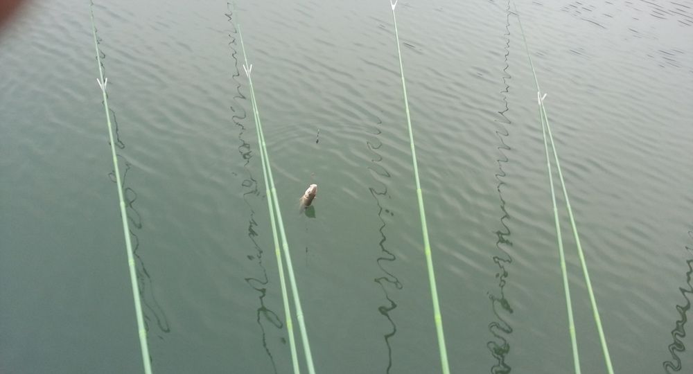 20140615062747331.jpg
