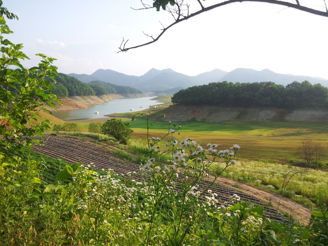 P140628_180642.jpg