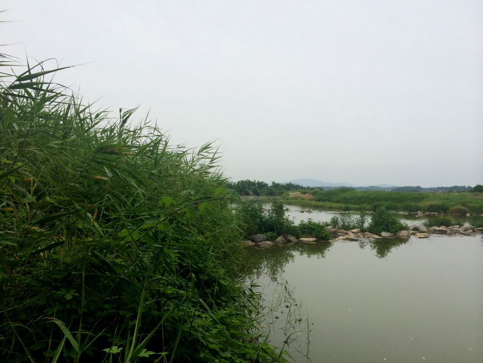 �ٹ̱�_IMG_2873.JPG