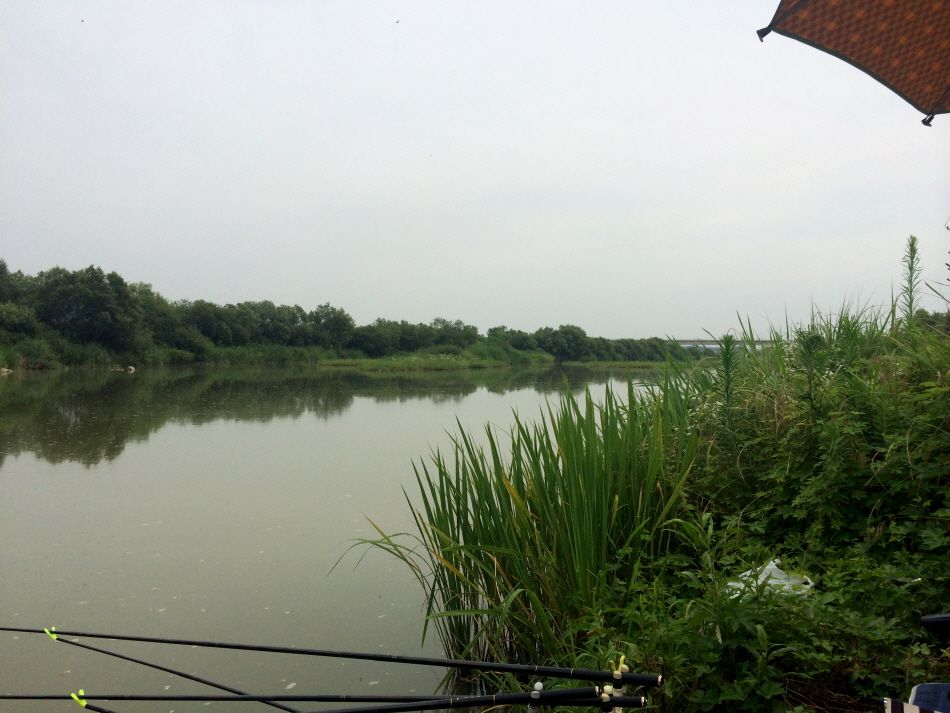 �ٹ̱�_IMG_2875.JPG