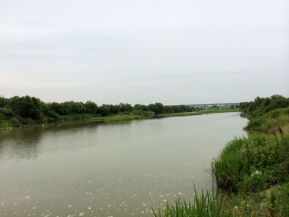 �ٹ̱�_IMG_2906.JPG