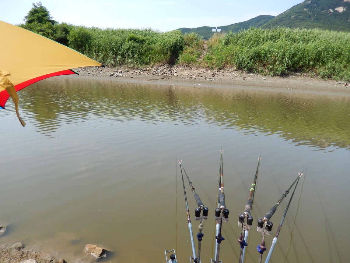 20140719��ȭâ�ĸ� ��븮 ���� 001.jpg