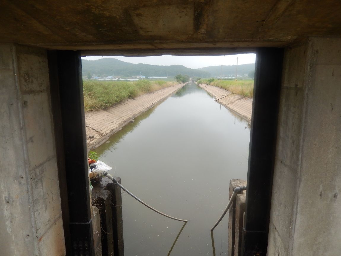 20140719��ȭâ�ĸ� ��븮 ���� 008.jpg