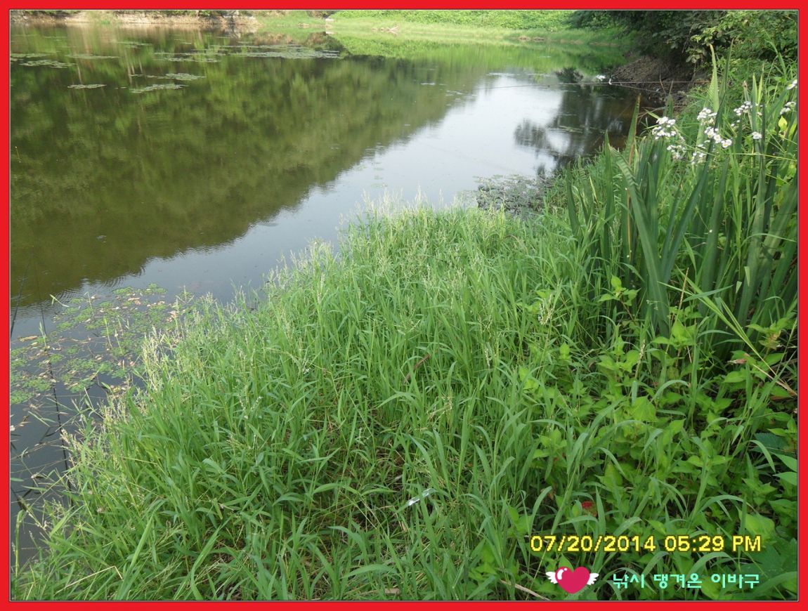 ²Ù¹Ì±â_SDC16375.jpg