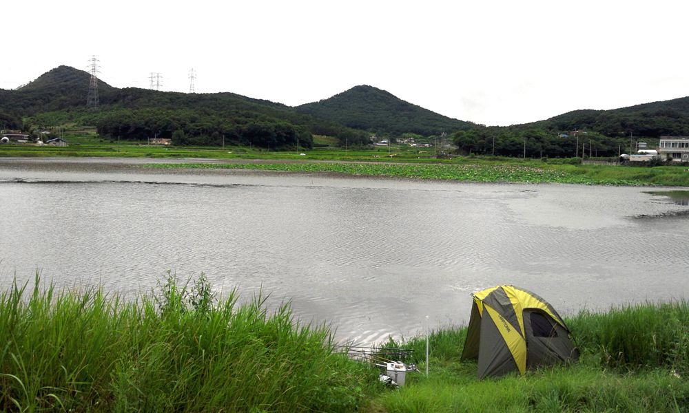 2014-07-19 17.34.59.jpg