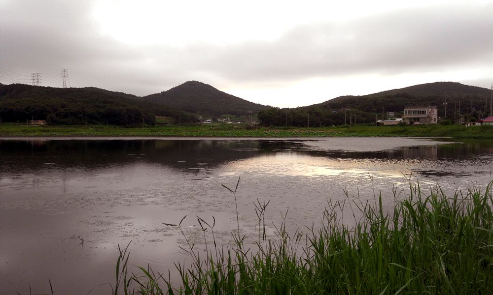 2014-07-19 18.52.13.jpg