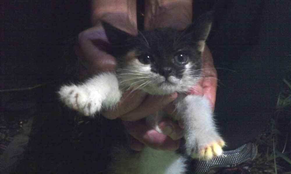 2014-07-19 21.51.51.jpg