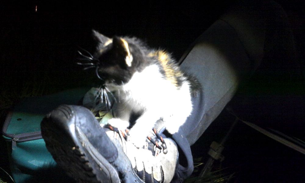 2014-07-19 21.53.11.jpg