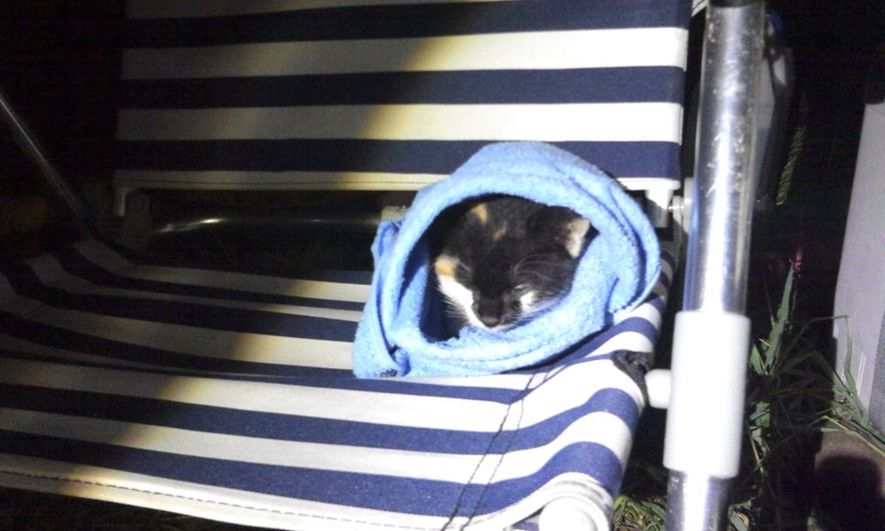 2014-07-19 23.42.58.jpg