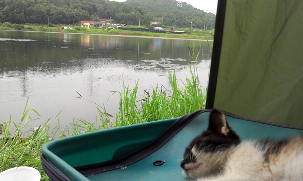 2014-07-20 08.37.44.jpg