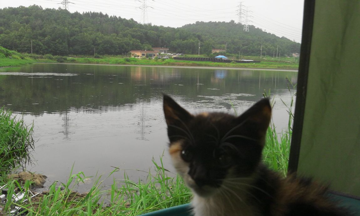 2014-07-20 07.58.57.jpg