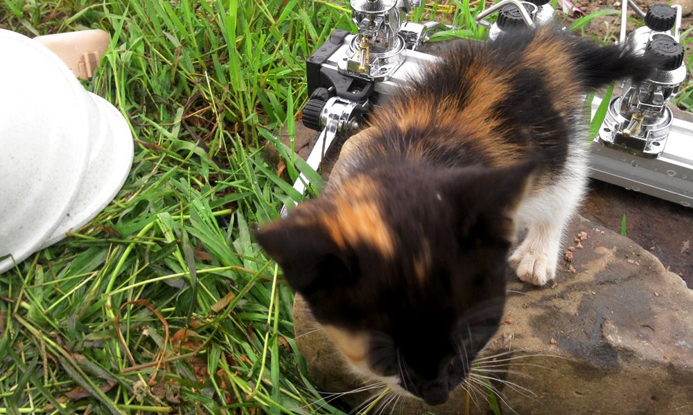 2014-07-20 07.56.33.jpg