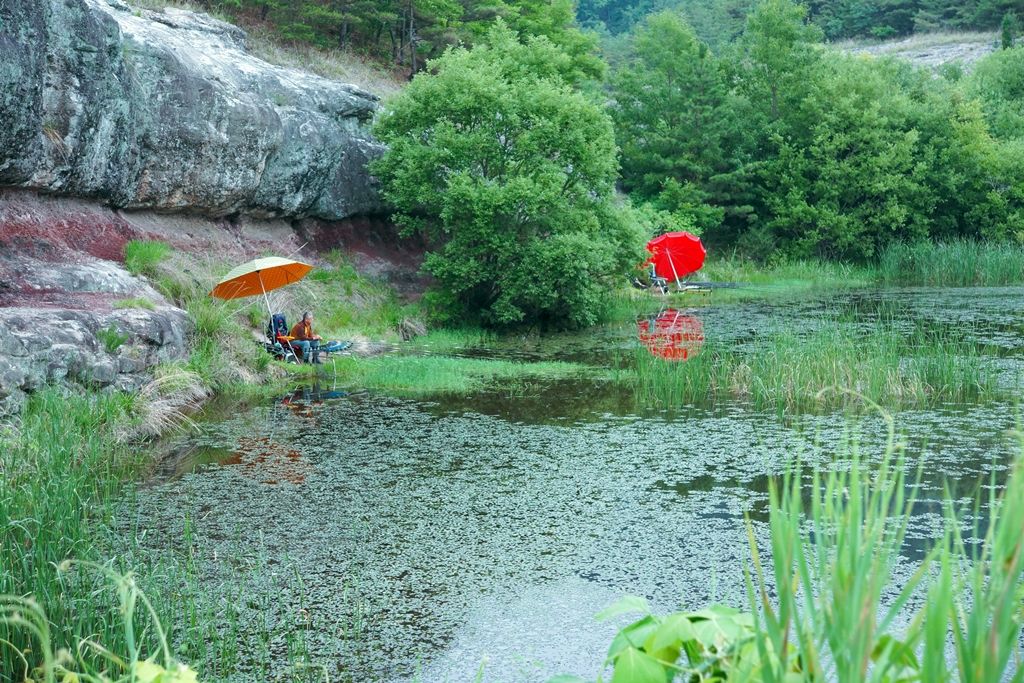 DSC00544.jpg