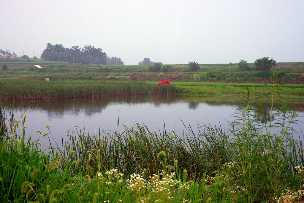 DSC02082-2.jpg