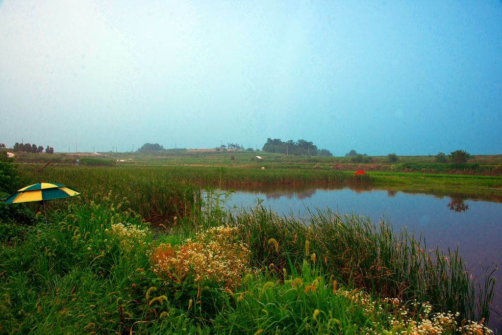 DSC02083.jpg