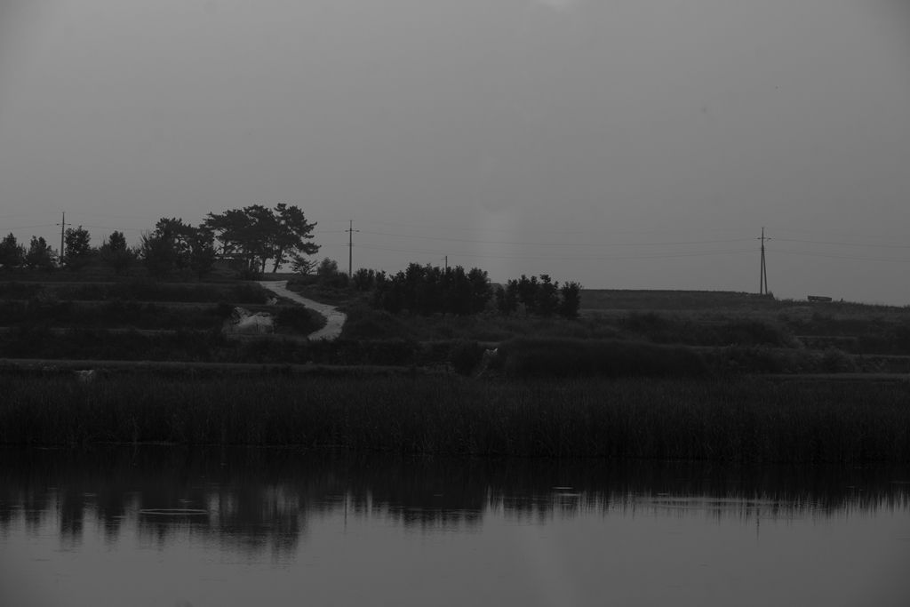 DSC02186.jpg