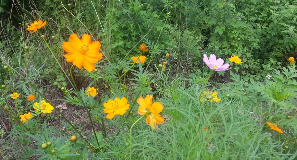 20140726123614428.jpg