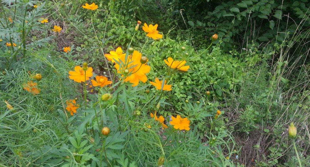 20140726123605926.jpg