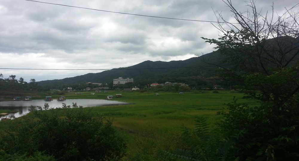 20140726123522139.jpg