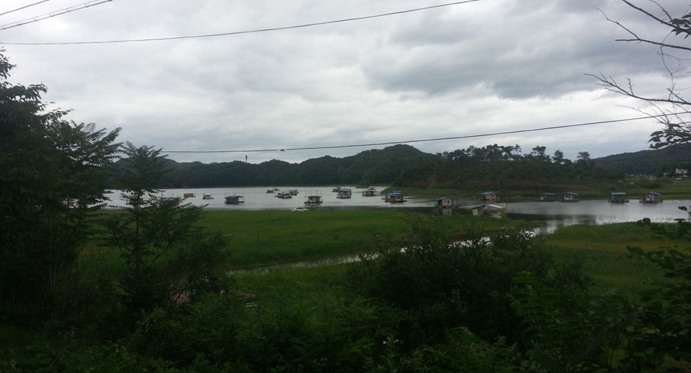 20140726123510275.jpg