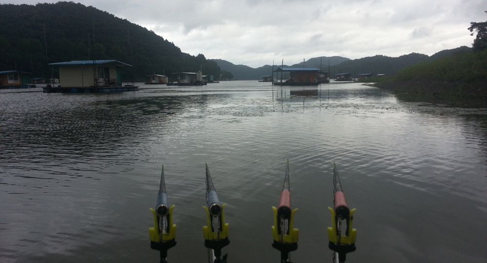 20140726074635603.jpg