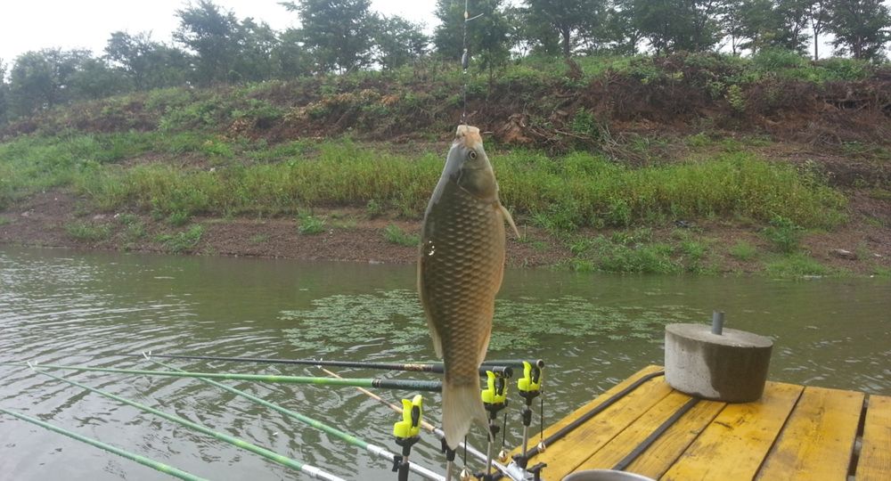 20140726082223799.jpg