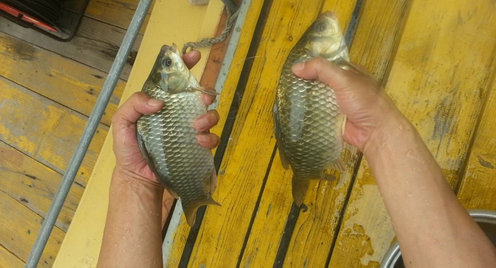 20140726121458934.jpg