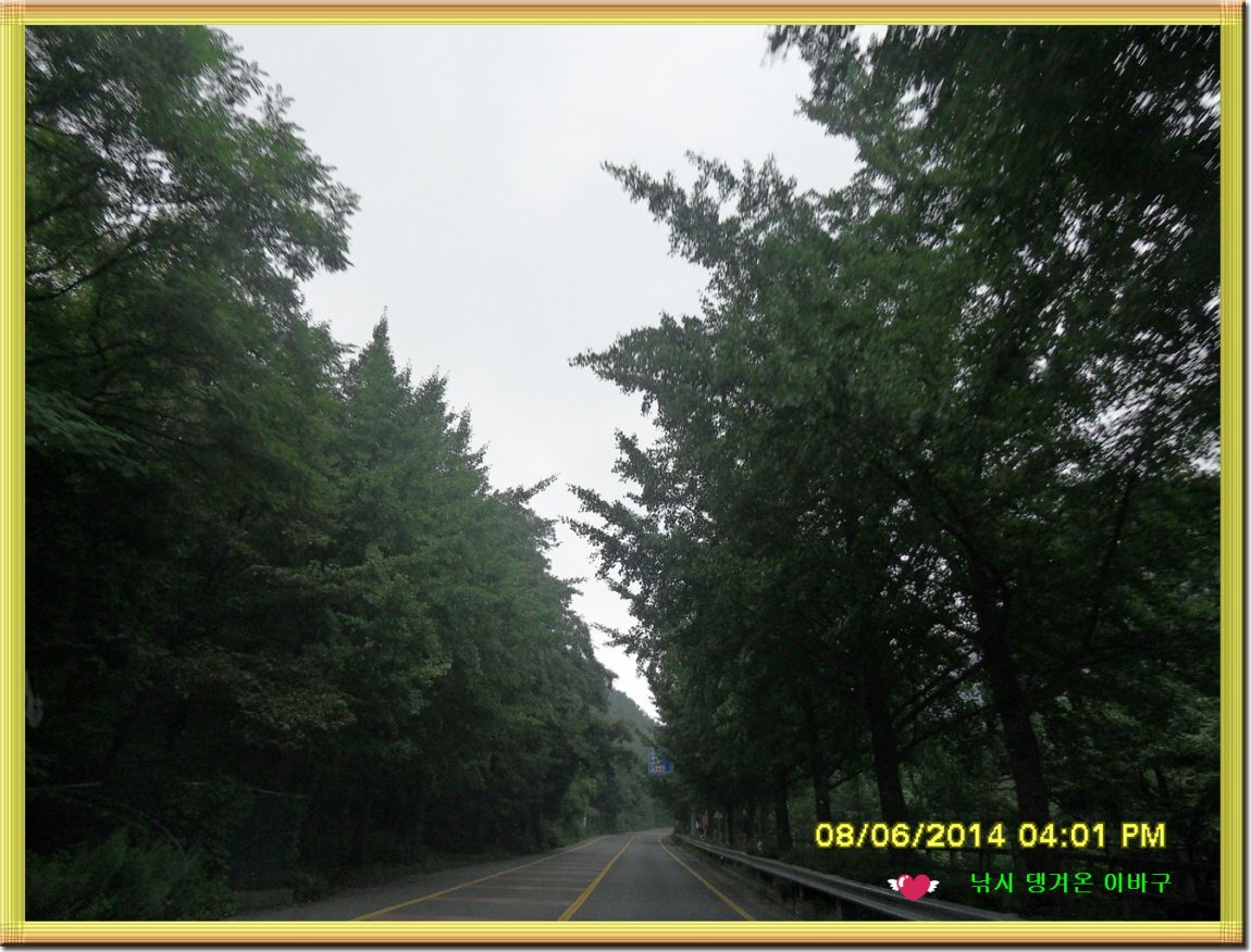 �ٹ̱�_SDC16711.jpg