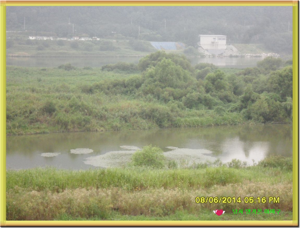 �ٹ̱�_SDC16720.jpg
