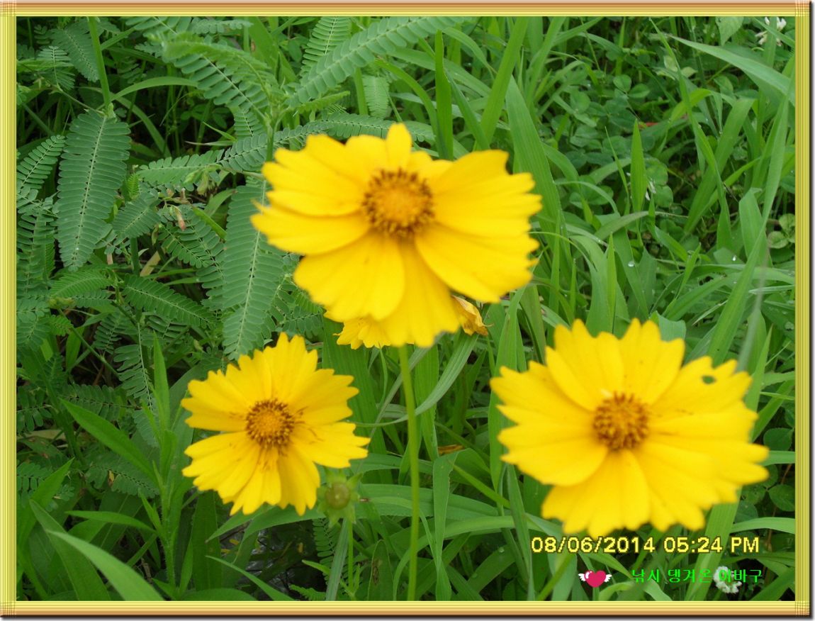 �ٹ̱�_SDC16723.jpg