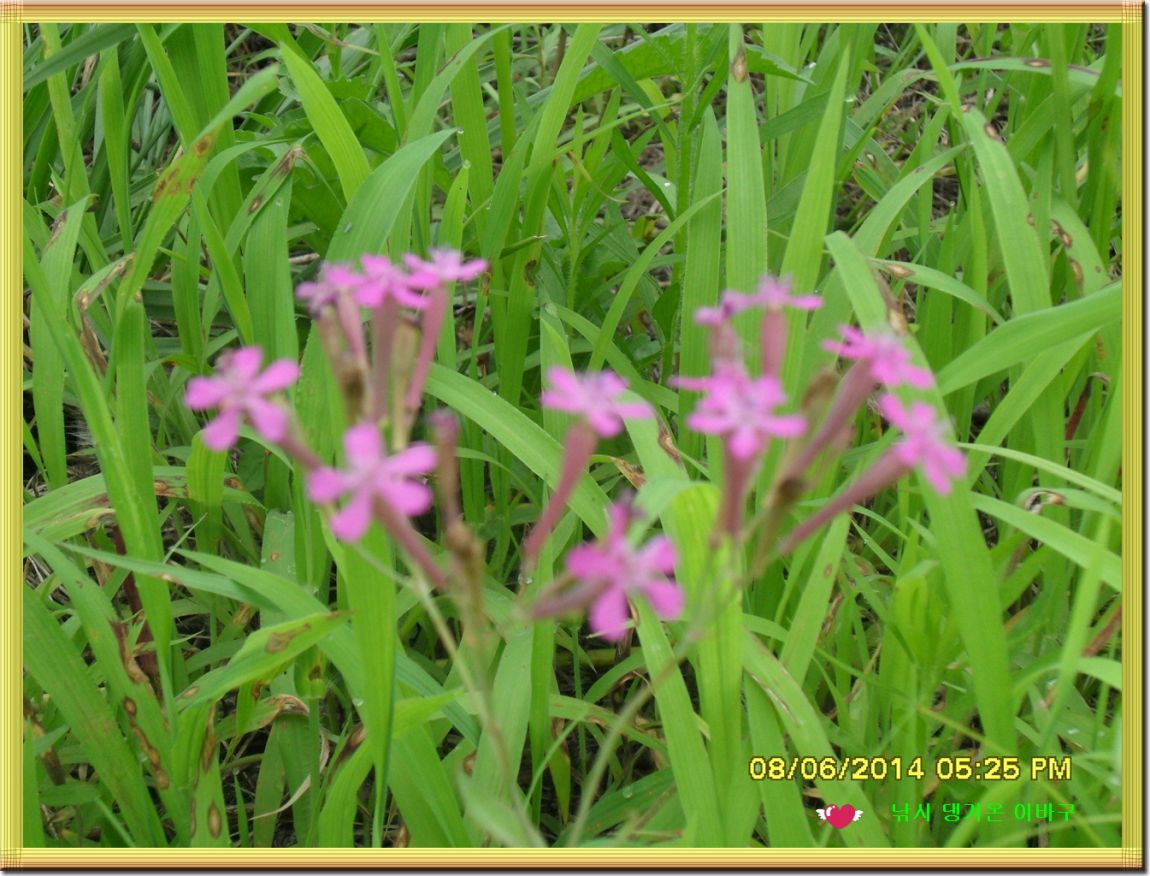 �ٹ̱�_SDC16725.jpg