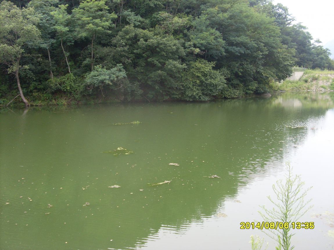 SL381282.JPG