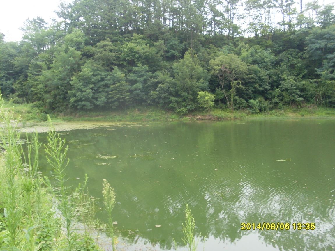 SL381283.JPG