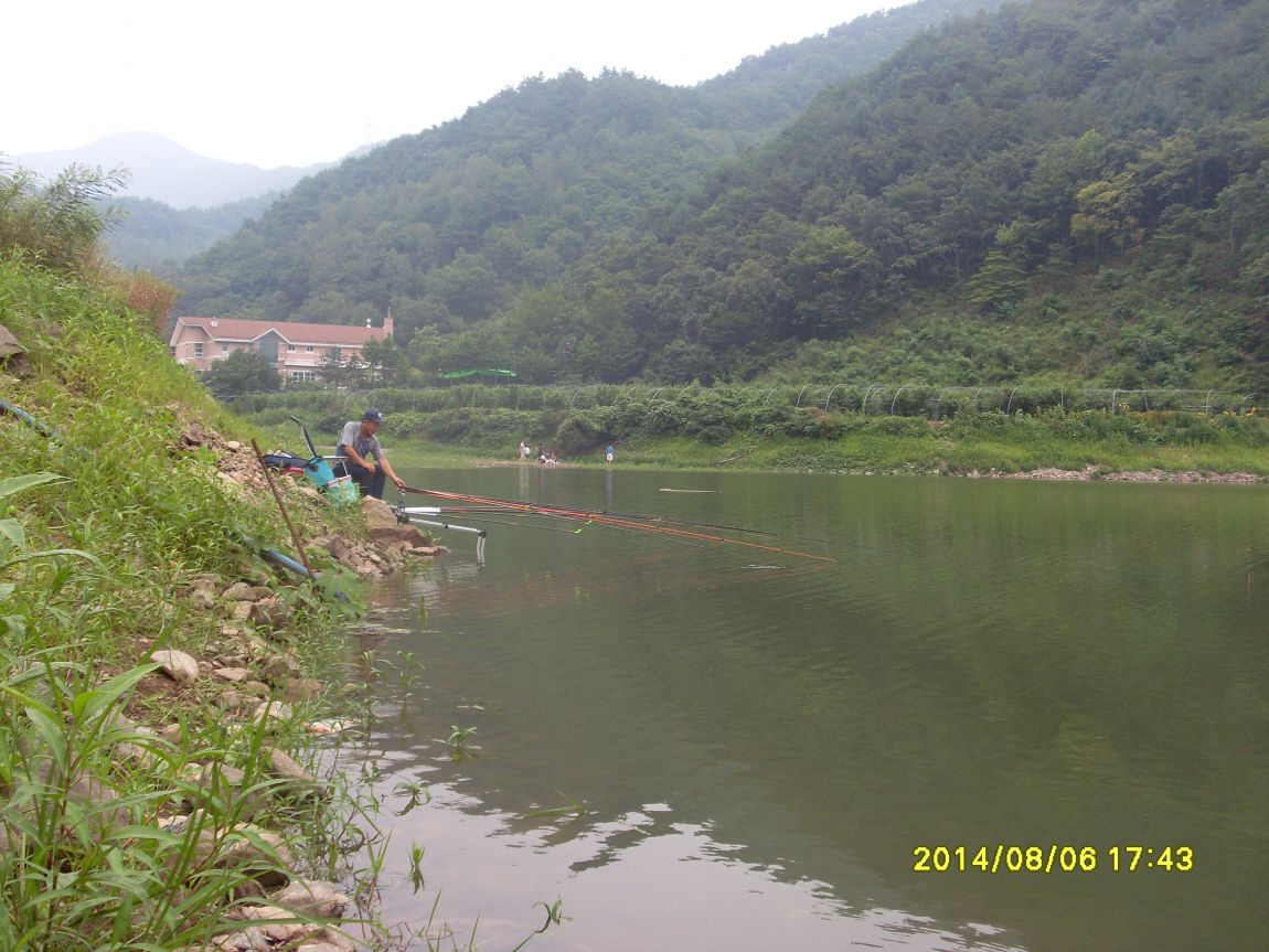 SL381289.JPG