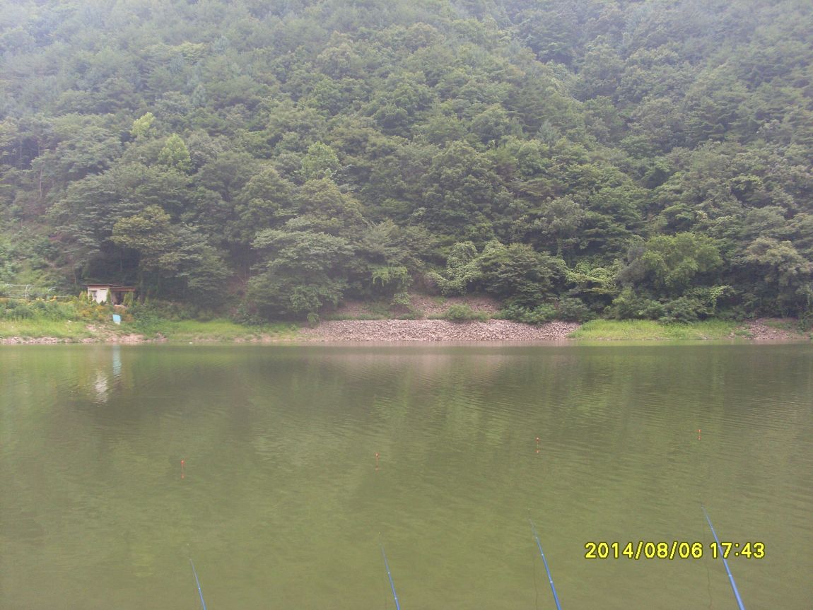 SL381290.JPG