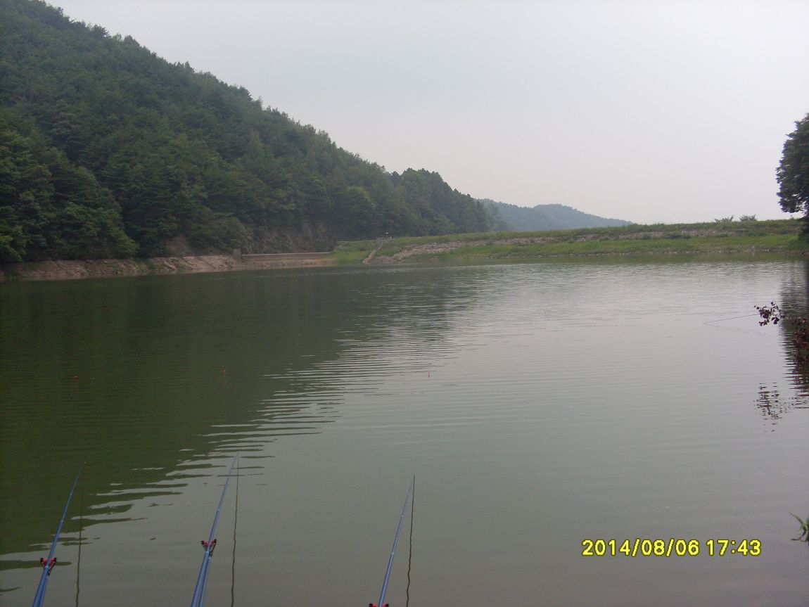 SL381291.JPG