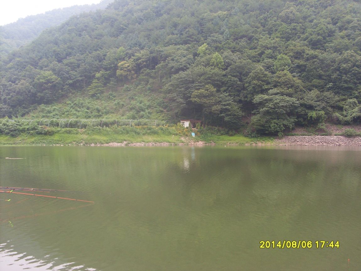 SL381293.JPG