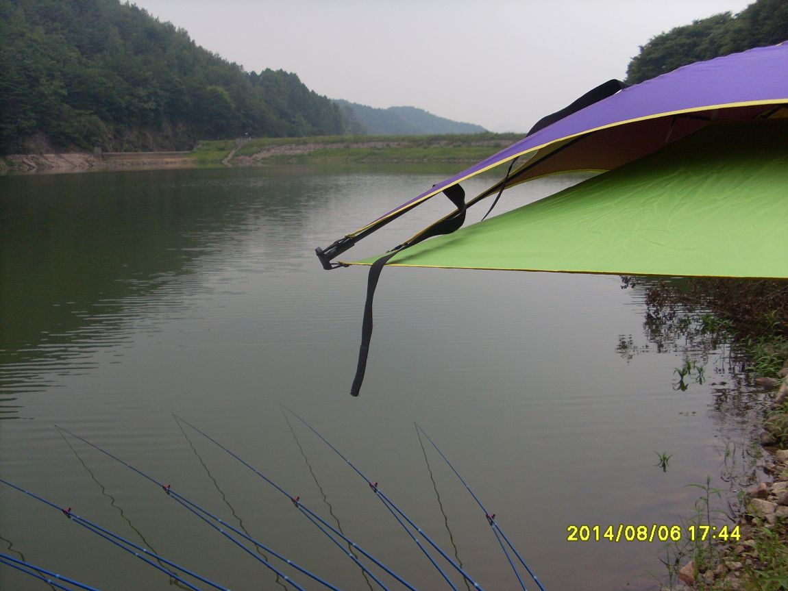 SL381294.JPG