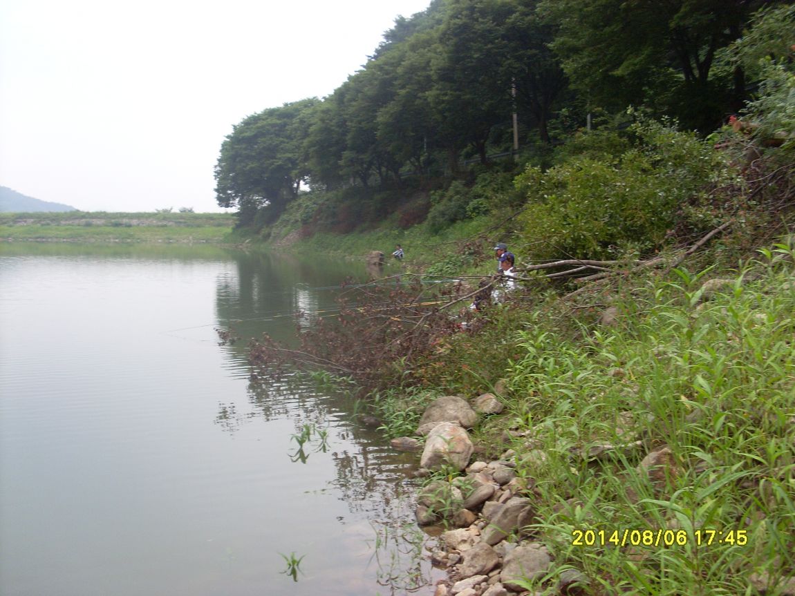 SL381298.JPG