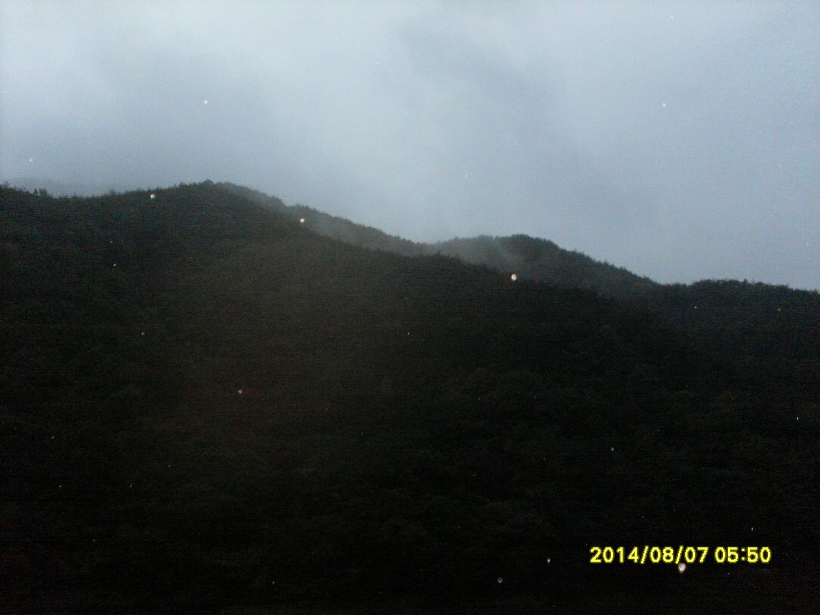 SL381299.JPG