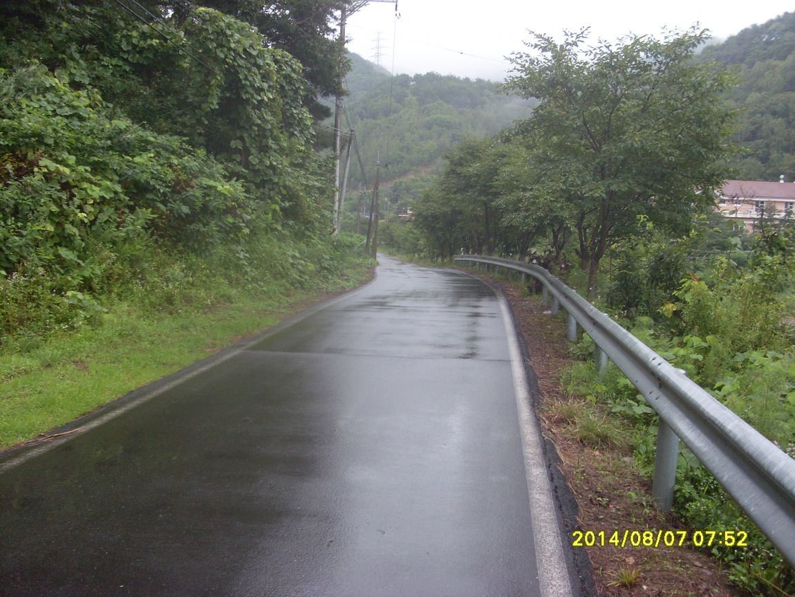 SL381311.JPG