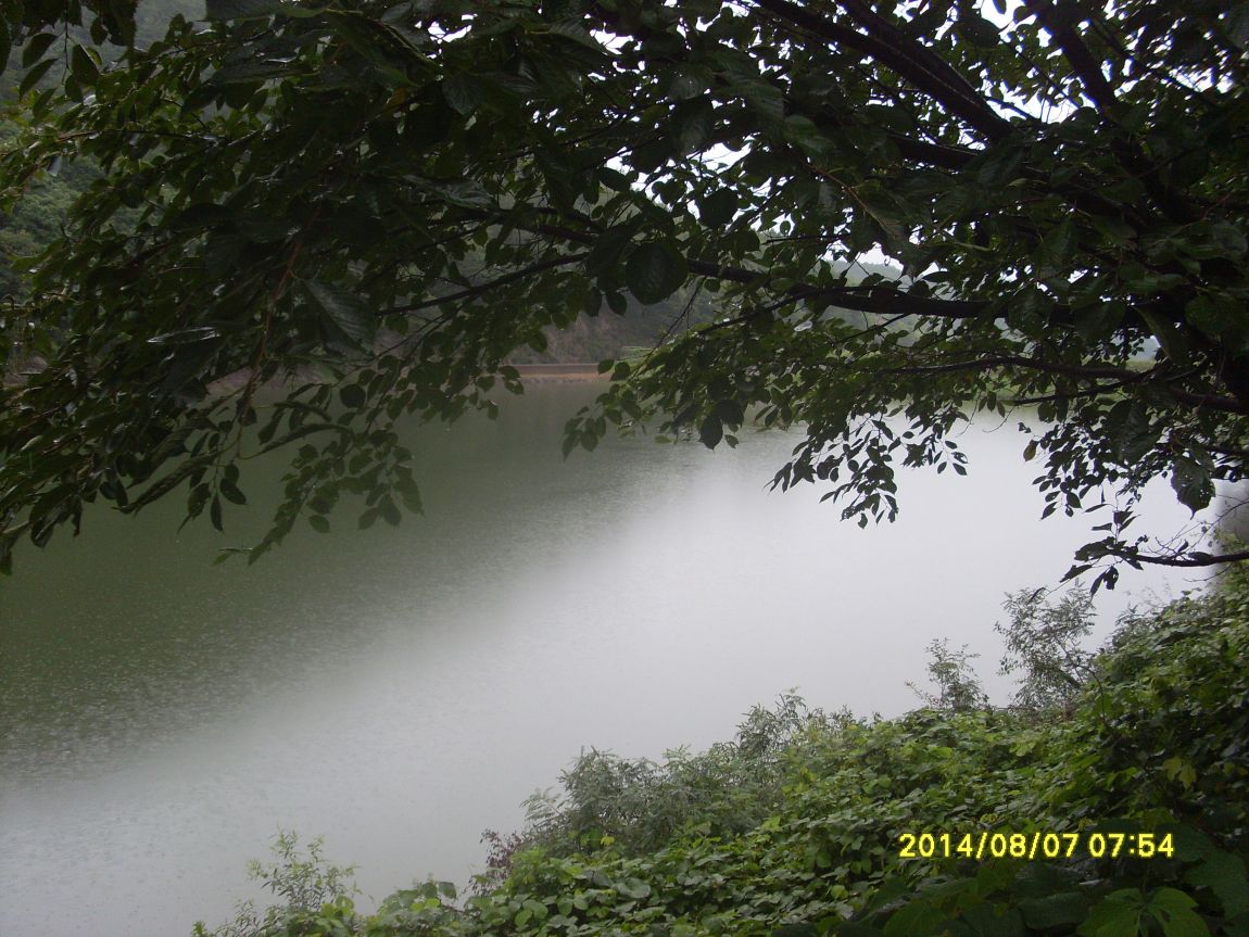 SL381312.JPG