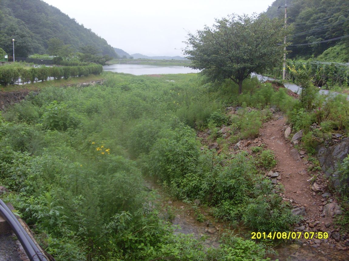 SL381314.JPG