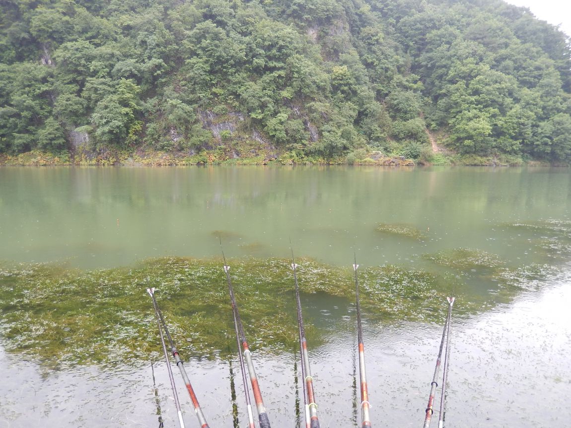 2014 ��õ�� �뼮�� 006.jpg