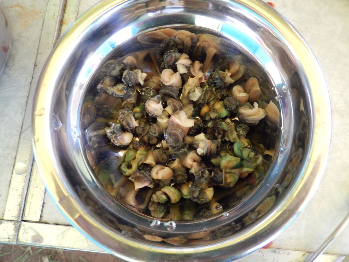 2014 ��õ�� �뼮�� 018.jpg