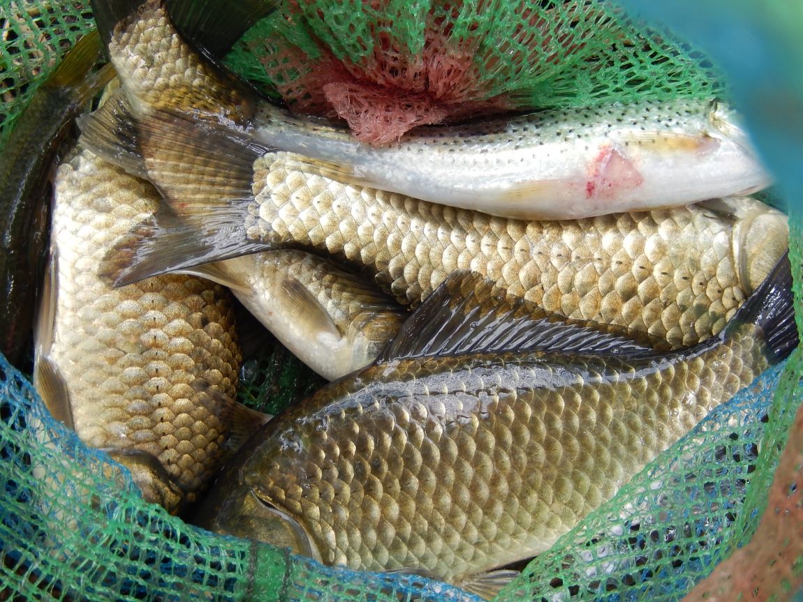 2014 ��õ�� �뼮�� 022.jpg