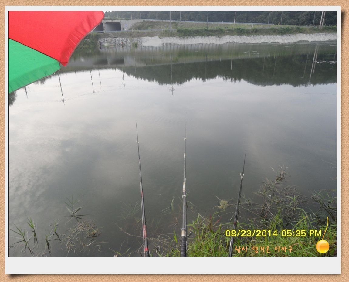 �ٹ̱�_SDC17260.jpg