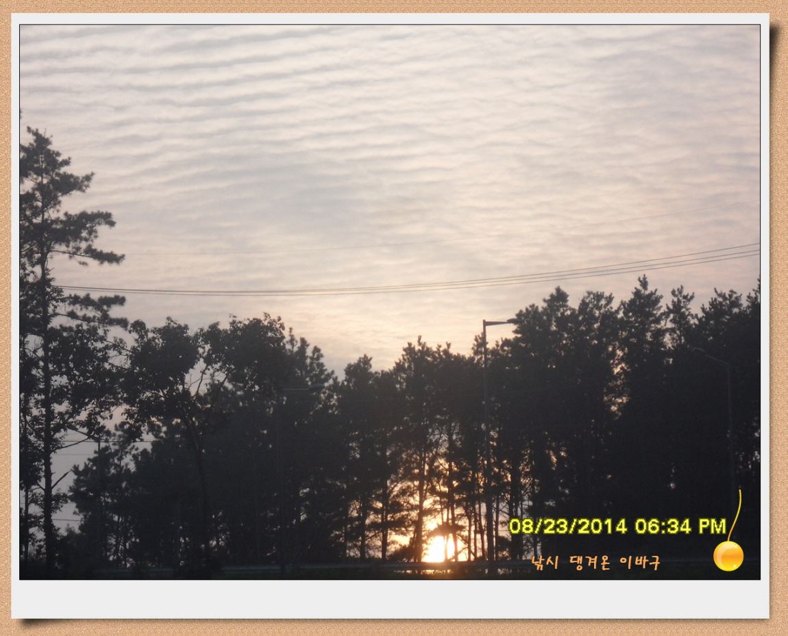 �ٹ̱�_SDC17265.jpg